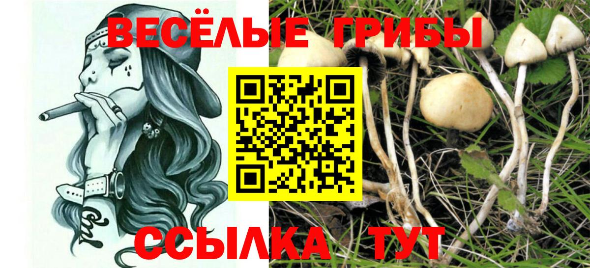Северобайкальск  Галлюциногенные грибы Cubensis  Галлюциногенные грибы Psilocybe  Вход с VPN 